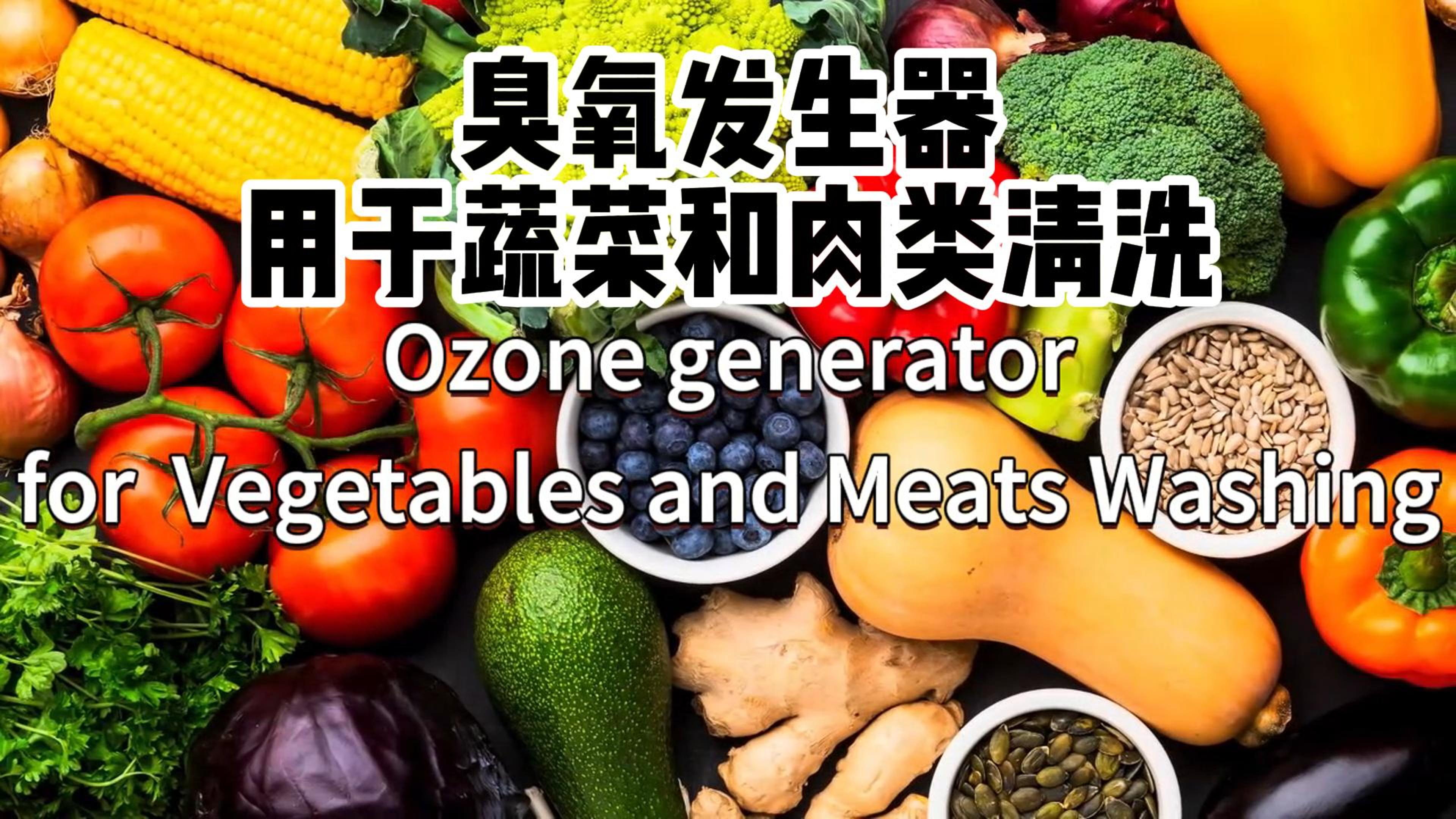 臭氧發(fā)生器在食品加工和儲存過程中用于蔬菜、水果和肉類的消毒